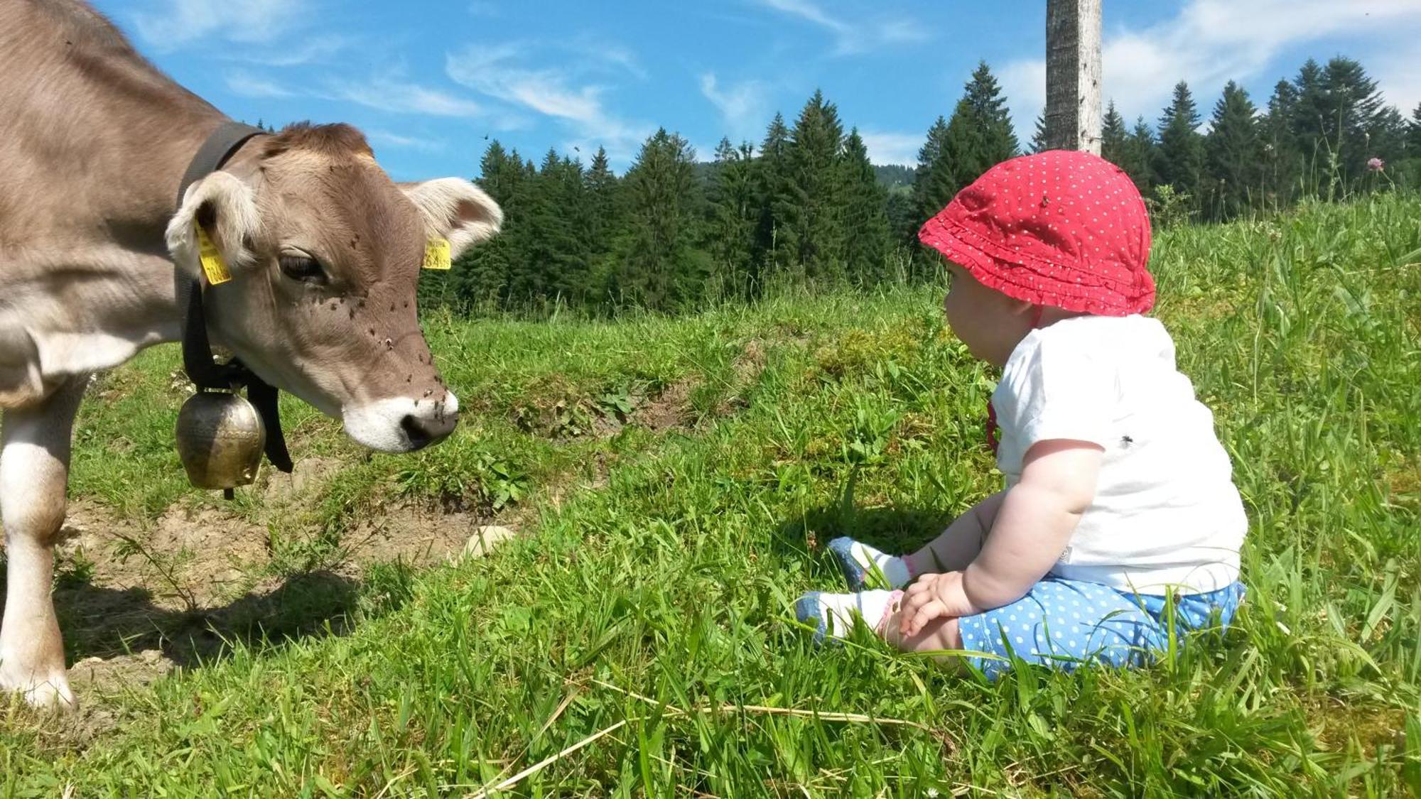Ferienhof Duerlinde Hittisau Exterior foto