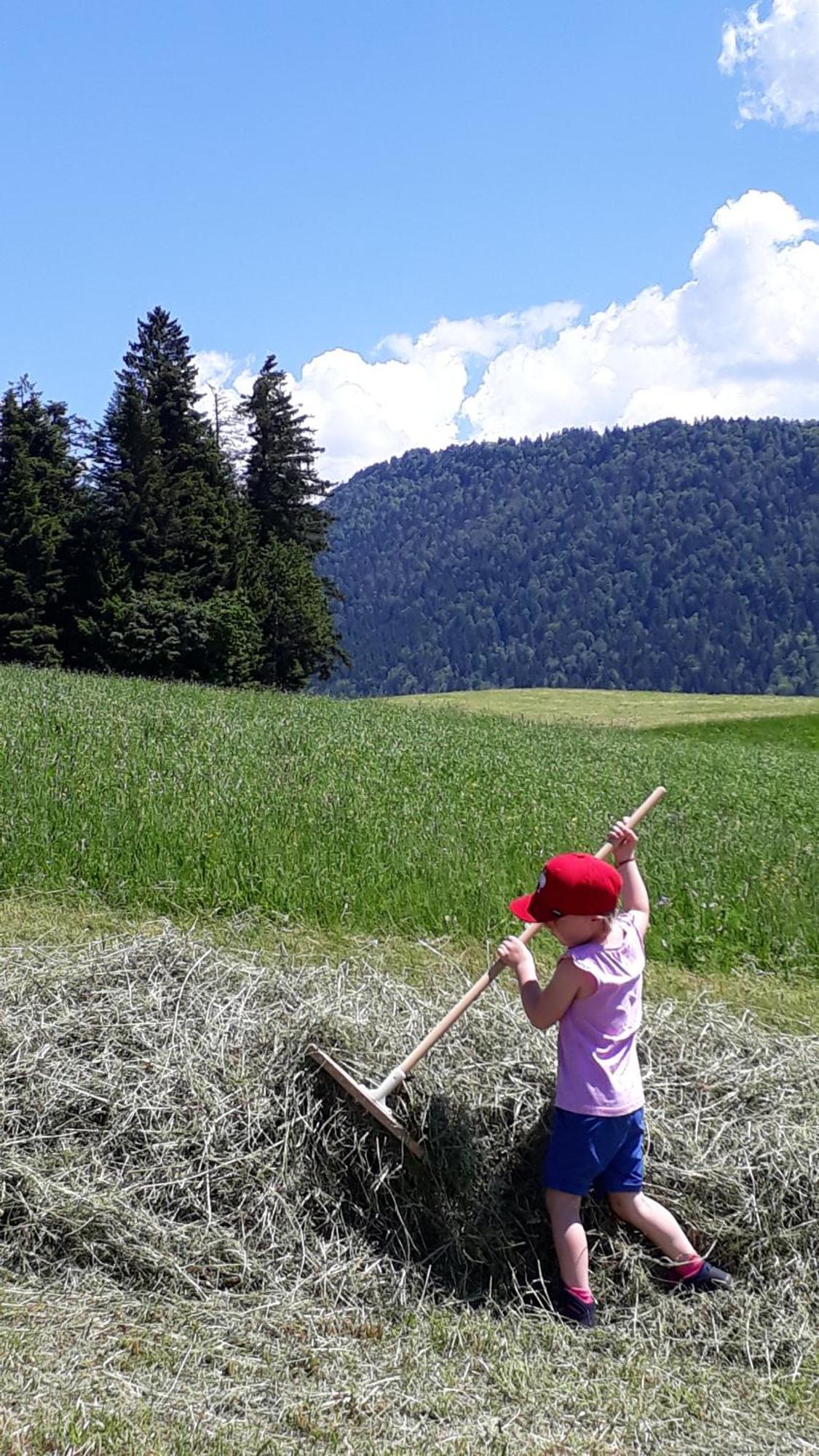 Ferienhof Duerlinde Hittisau Exterior foto