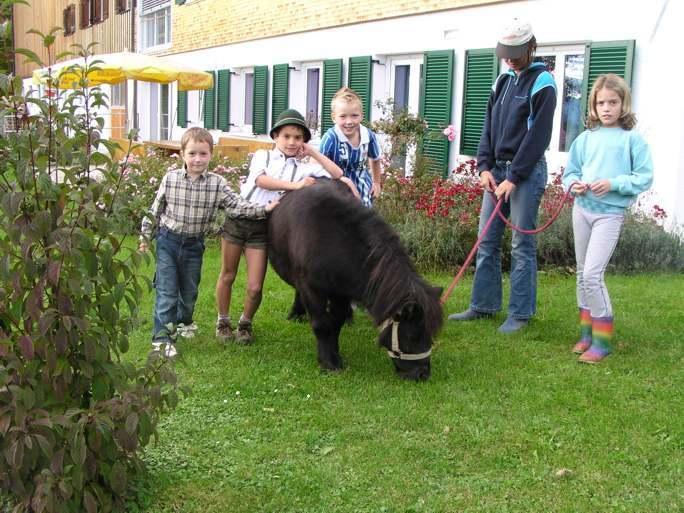Ferienhof Duerlinde Hittisau Exterior foto